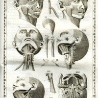 <em>Bernardi Siegfried Albini medicinae doctoris ... Explicatio tabularum anatomicarum Bartholomaei Eustachii, anatomici summi.</em>